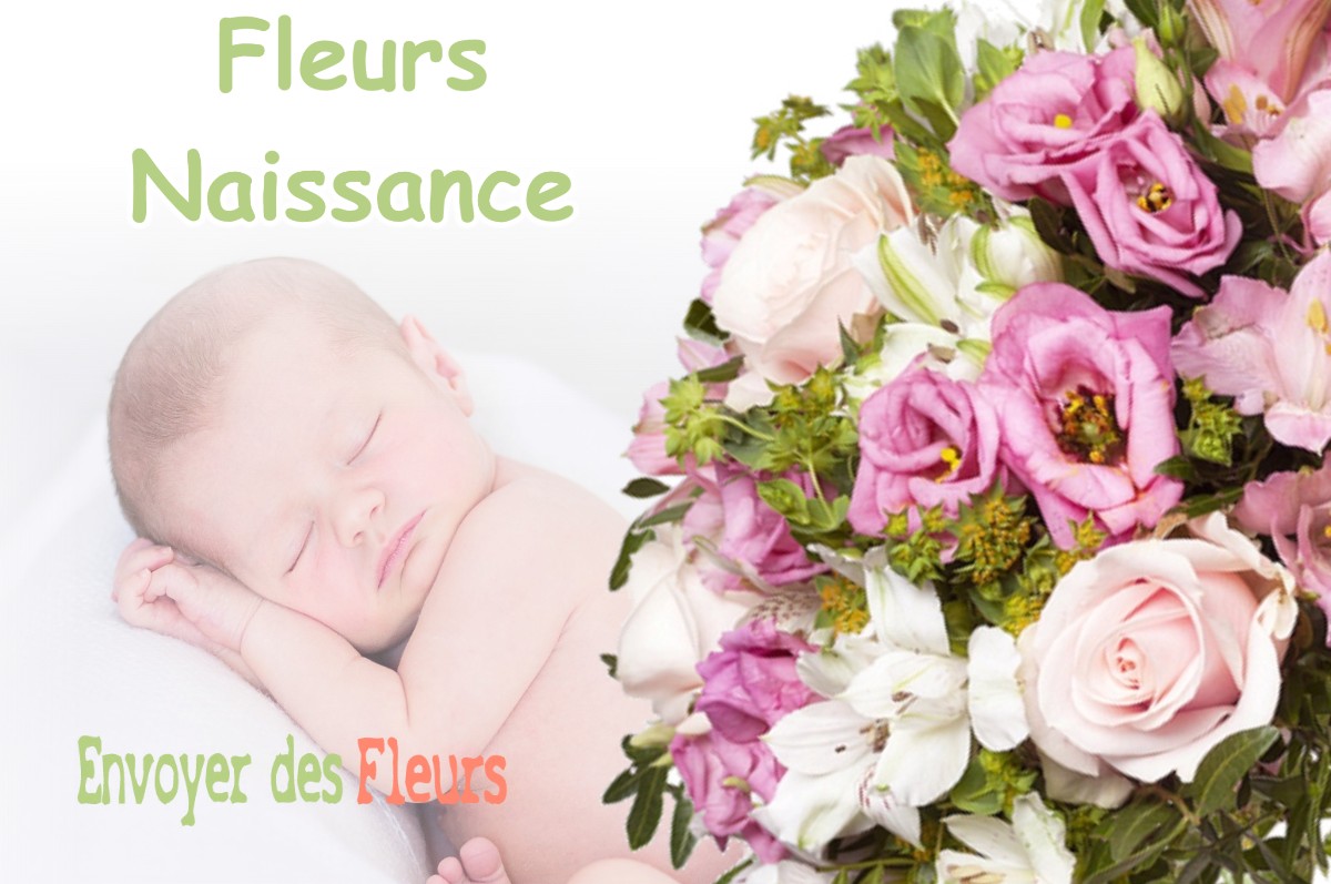 lIVRAISON FLEURS NAISSANCE à ARTHEZ-D-ARMAGNAC